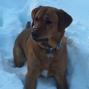 Meet your Posher, Melanie